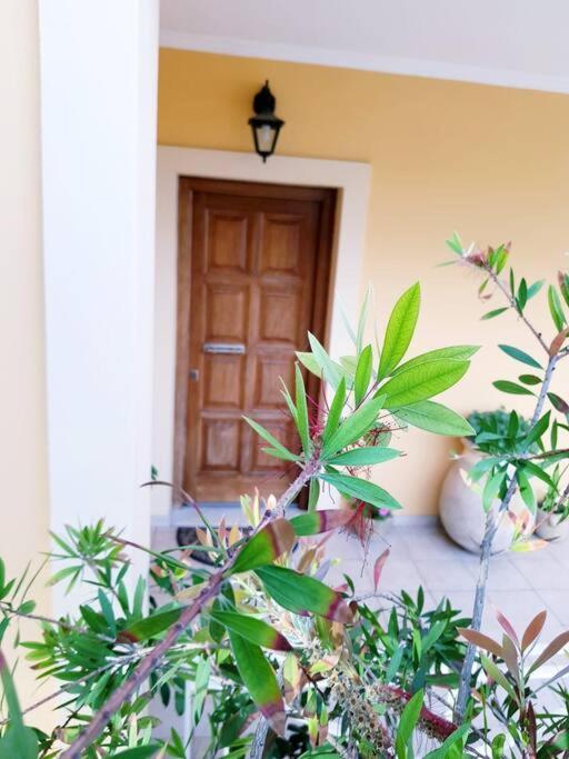 Sunny Stay Furnished Apartment In Kanoni Exterior photo